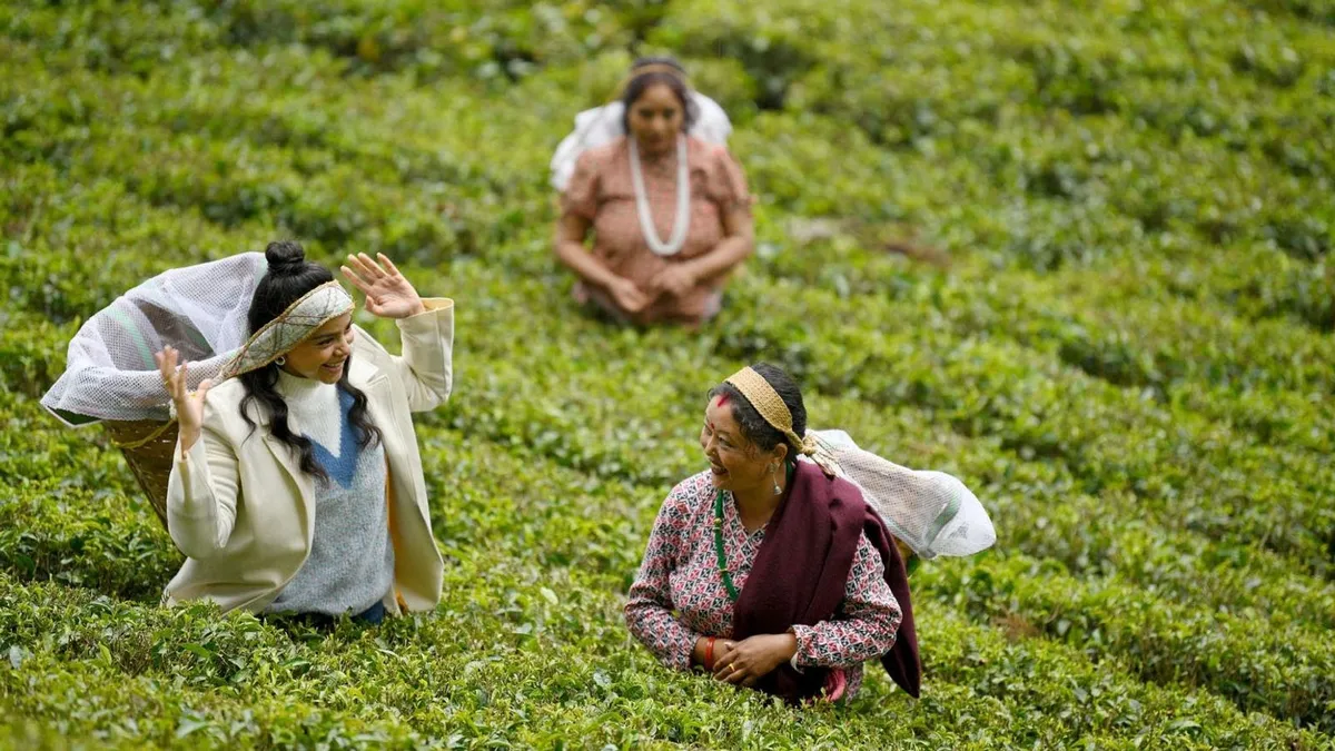 Tea time fun for Sumona begins at the Happy Valley Tea Estate. She learns how to pluck tea leaves. 