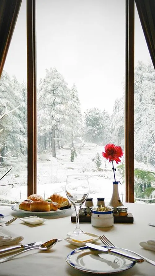 First Snowfall Of 2022 Converts Indian Hill Stations Into Winter Wonderlands