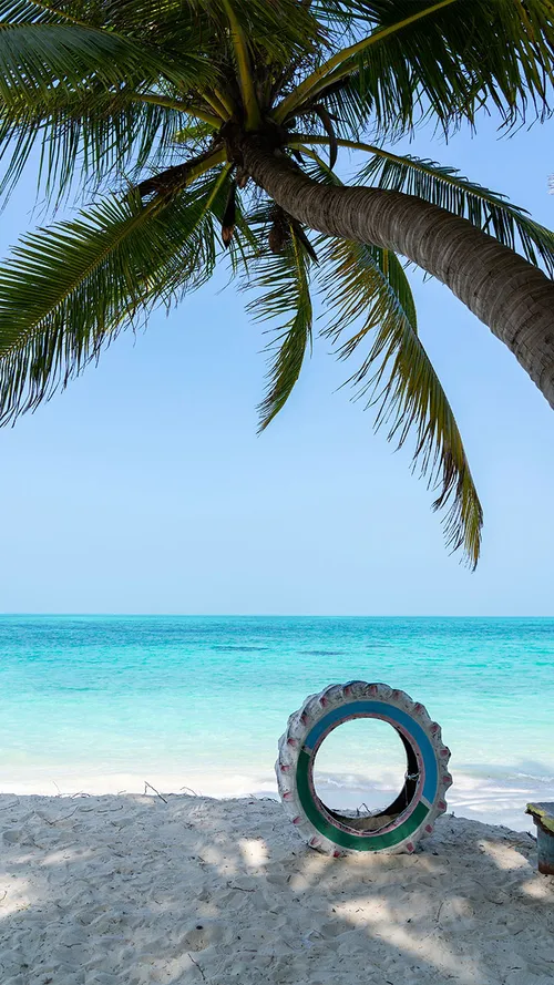 Top 8 places To Visit In Lakshadweep