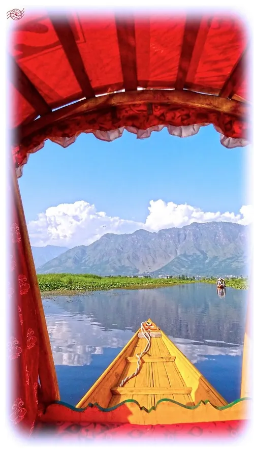 10 Unique Things To Do In Srinagar This Summer