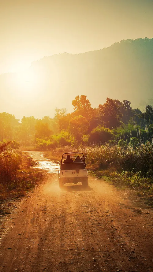 6 Must-try Wildlife Tours In India Right Now