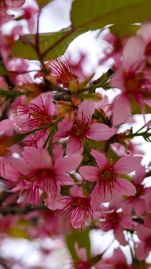 5 Indian Destinations That You Must Visit In September  