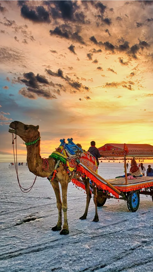 Why You Must Visit The Rann Of Kutch This Winter